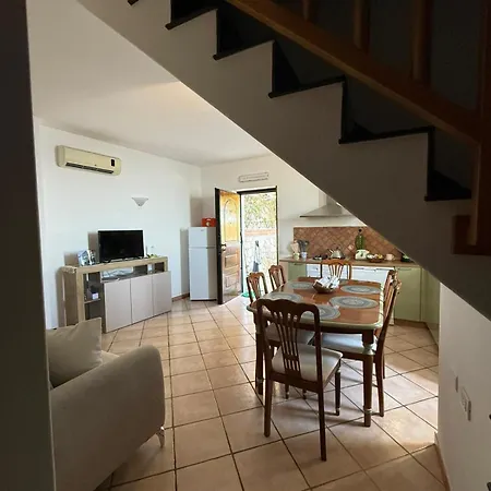 Degli Ulivi