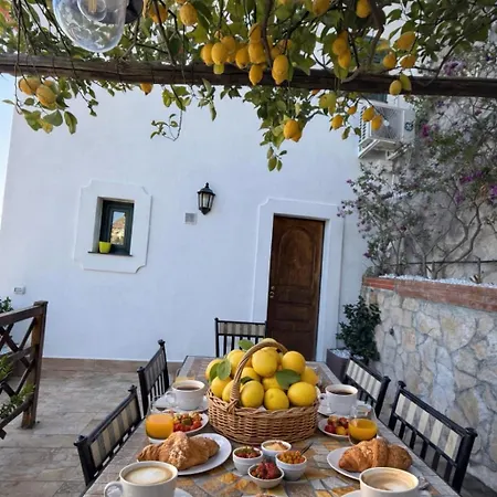 Degli Ulivi Holiday home
