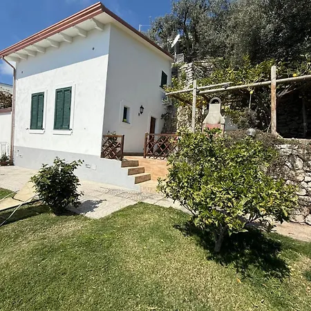 Degli Ulivi Holiday home *