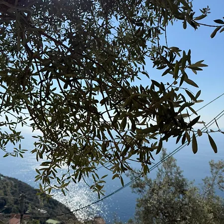 Degli Ulivi Furore
