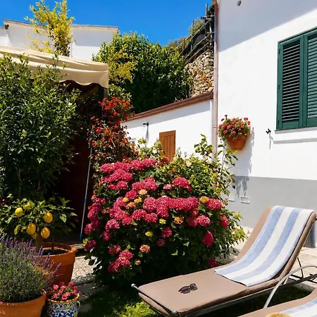 Degli Ulivi Holiday home *